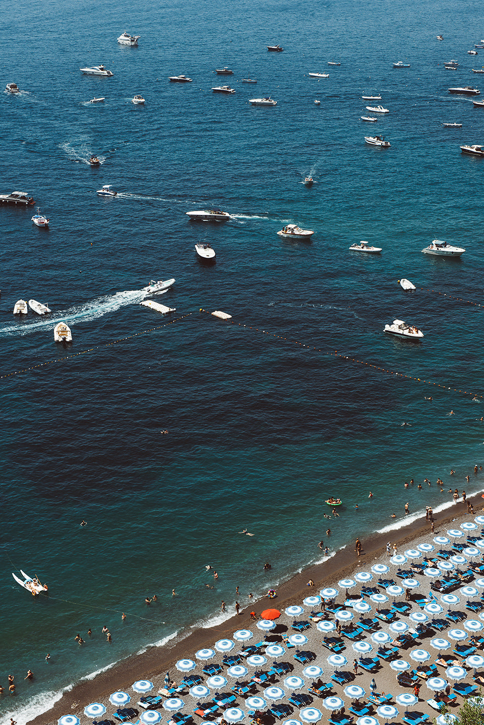 THE MED #12