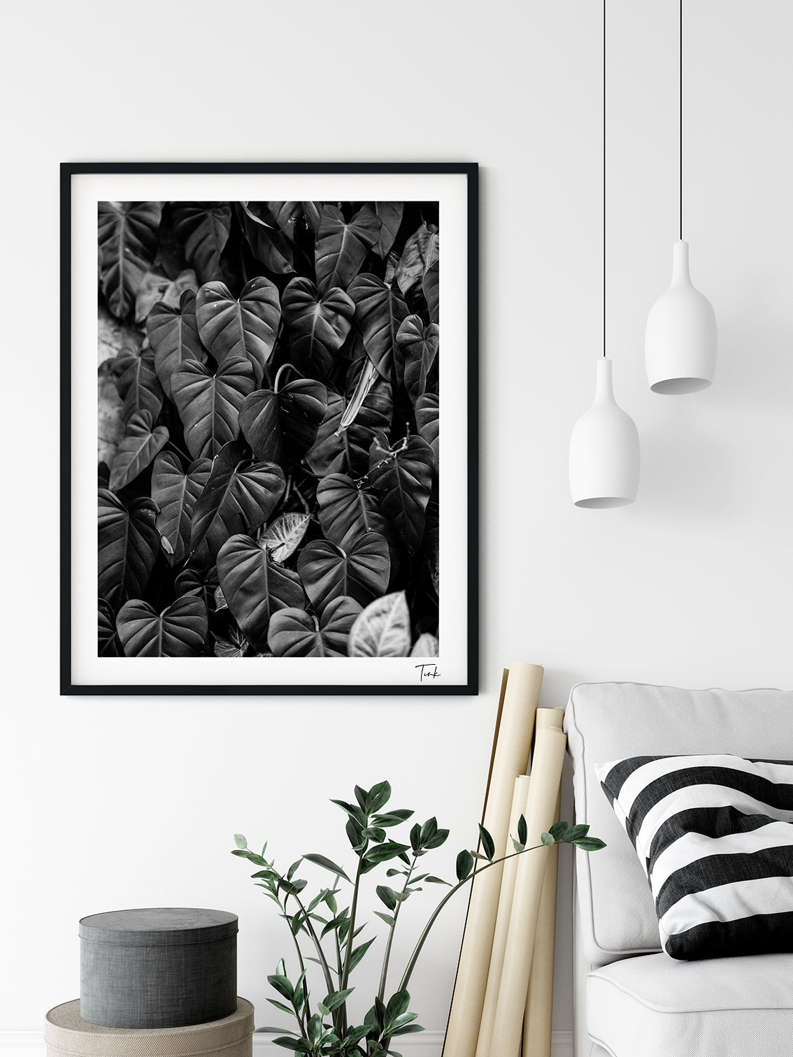 MONOCHROME