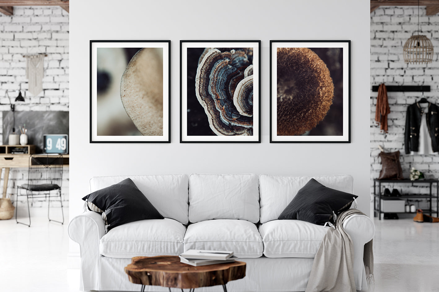 FUNGI