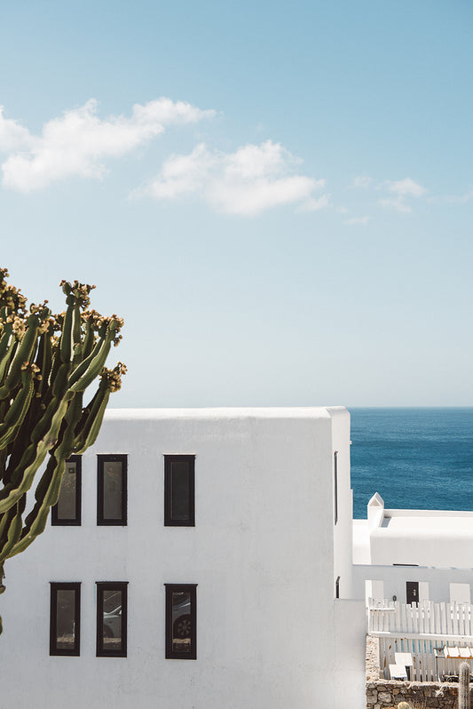 THE MED #6