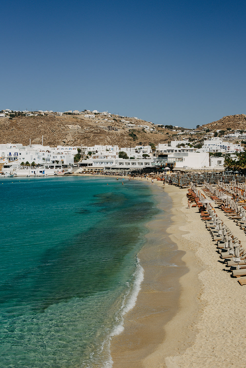 THE MED #5
