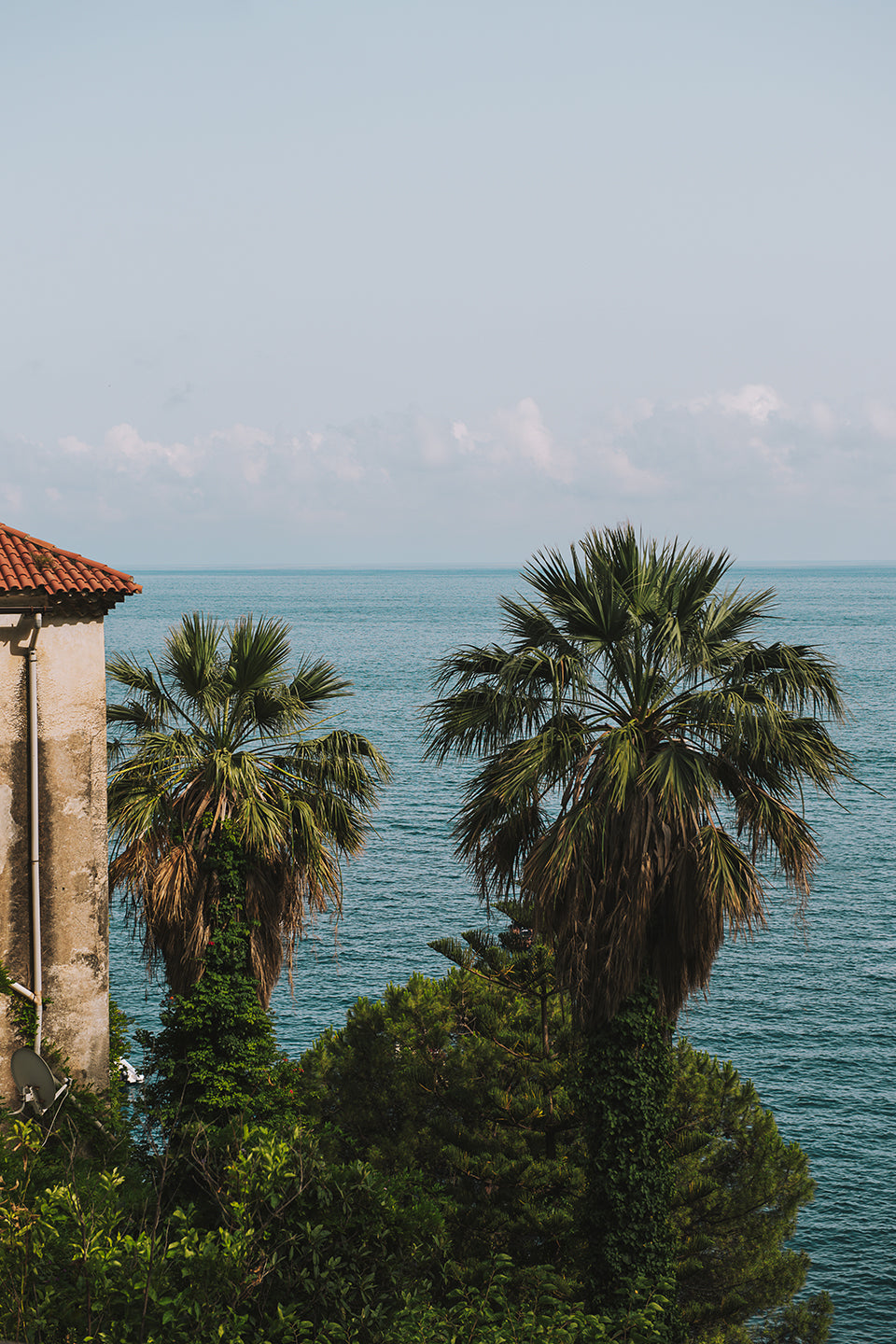 THE MED #15