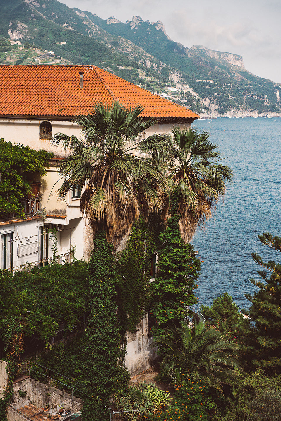 THE MED #16